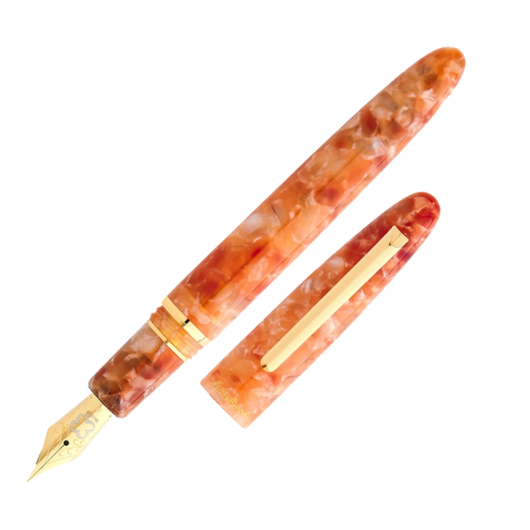 esterbrook estie petrified forest fountain pen